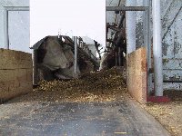 100_0062_IMG_200x150.jpg