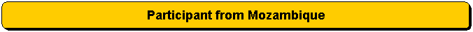 Rounded Rectangle: Participant from Mozambique
