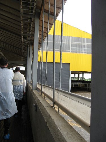 04 20070621 TARTU 1117_375x500.jpg