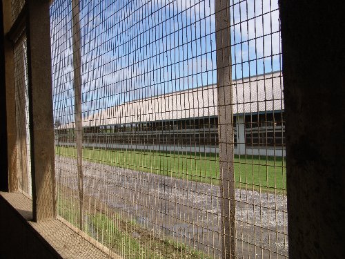 05 20060915 3567_500x375.jpg