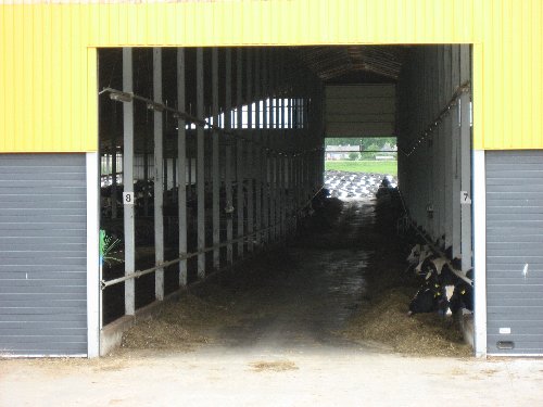 06 20070621 TARTU 1150_500x375.jpg