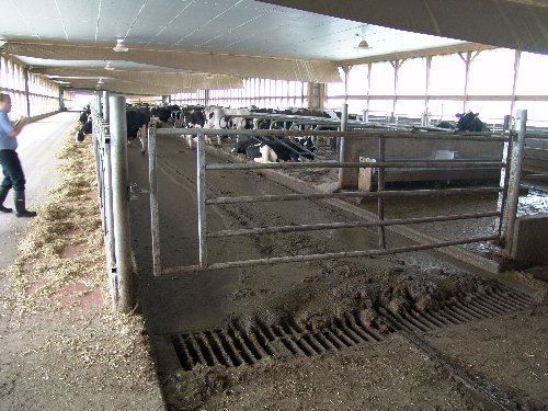 07 20060915 3540_500x375.jpg