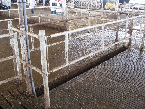 08 20070621 TARTU 1123_500x375.jpg