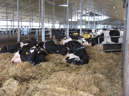 11 20070621 TARTU 1138_500x375.jpg