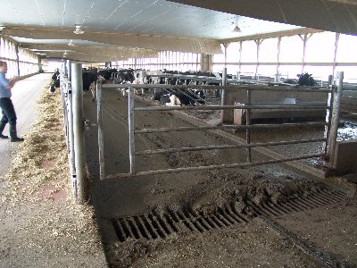 20060915 3540_400x300.jpg