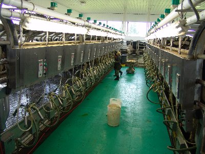 20060915 3553_400x300.jpg